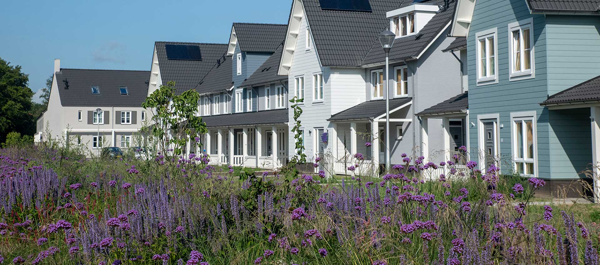 WordPress webdesign | Full service internetbureau uit Brabant, Tilburg, Rotterdam, Breda